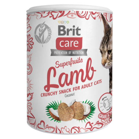 Brit Care Cat Snack Superfruits Lamb 100 g - 1