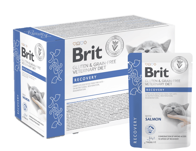 Brit Grain & Gluten-Free VD Cat Pouch fillets in Gravy Recovery 12x 85 g 