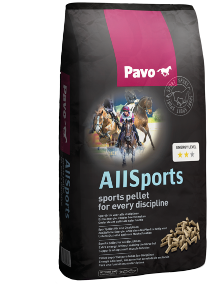 PAVO All-Sports 20 kg - 1