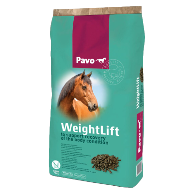 PAVO WeightLift NEW 20 kg - 1