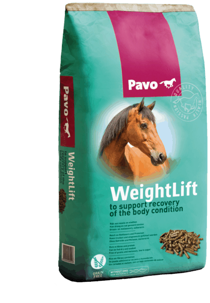PAVO WeightLift NEW 20 kg - 1
