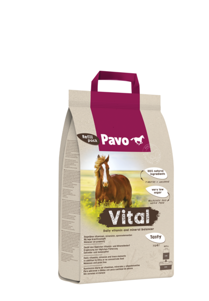PAVO Vital - 1