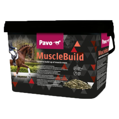 PAVO Muscle Build - 1