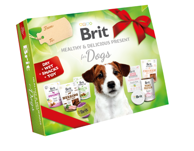 BRIT HEALTHY & DELICIOUS PRESENT FOR DOGS 