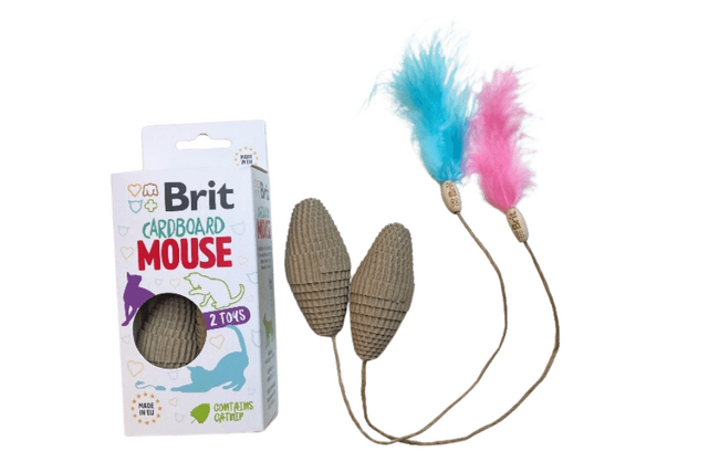 Brit Cardboard Mouse  - 1