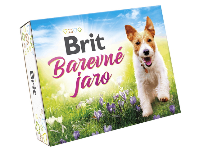 Brit Jarní BOX Dog  - 1